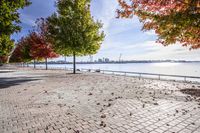 a pathway near the water with colorful trees on each side and blue sky over the river