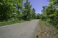 a paved asphalt road leading into forest with green trees and bushes on either side of it