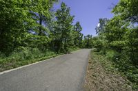 a paved asphalt road leading into forest with green trees and bushes on either side of it