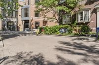 a paved driveway in front of a building with a tree in the front ground, and an open space between the buildings