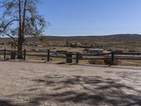 a paved path between two trees and in the distance are homes and a fence, in the background