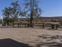 a paved path between two trees and in the distance are homes and a fence, in the background