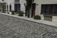 a road that leads to a row of building with pots and bushes in the alley