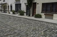 a road that leads to a row of building with pots and bushes in the alley