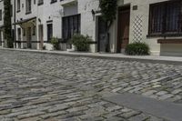 a road that leads to a row of building with pots and bushes in the alley