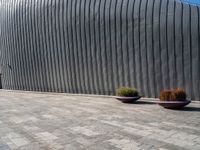 two large planters on a brick sidewalk in front of a wall with metallic siding