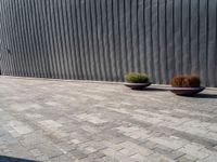 two large planters on a brick sidewalk in front of a wall with metallic siding