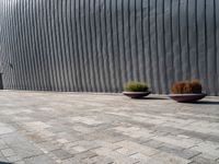 two large planters on a brick sidewalk in front of a wall with metallic siding