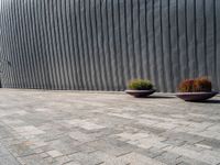 two large planters on a brick sidewalk in front of a wall with metallic siding