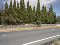 a bike rider is riding on a paved road beside tall trees and stone walls are in the distance