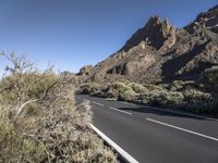 a paved road passing through mountains in the desert with shrubs around it and shrubs on both sides of both sides