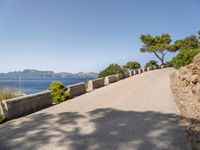 the paved road has a bench on it overlooking the sea and mountainside with trees