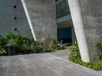 a concrete and wood walkway that has plants growing on it in pots on both sides of a building