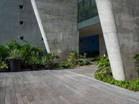 a concrete and wood walkway that has plants growing on it in pots on both sides of a building