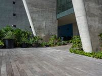 a concrete and wood walkway that has plants growing on it in pots on both sides of a building