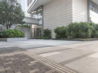 Paver Walkway in the Business District of Shenzhen