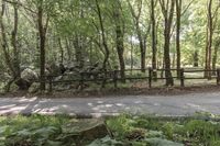 people walking down a path in the woods in front of rocks and a fence with vines