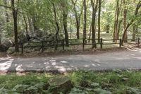 people walking down a path in the woods in front of rocks and a fence with vines