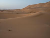 the person in the desert walks across a desert plain with large hills in the background