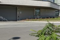 a person riding a skateboard near the road next to a building and bushes, with the back door closed