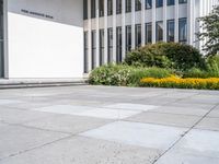 a person skateboards in the cement near flowers and bushes outdoors a building and white tiles