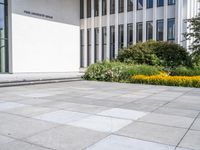 a person skateboards in the cement near flowers and bushes outdoors a building and white tiles