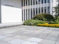 a person skateboards in the cement near flowers and bushes outdoors a building and white tiles