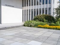 a person skateboards in the cement near flowers and bushes outdoors a building and white tiles