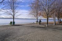 a person walking a dog next to a bench near the water with trees in the background