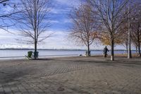 a person walking a dog next to a bench near the water with trees in the background