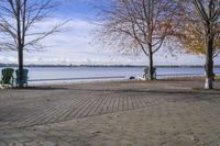 a person walking a dog next to a bench near the water with trees in the background