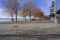 a person walking a dog next to a bench near the water with trees in the background