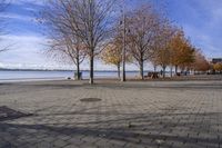 a person walking a dog next to a bench near the water with trees in the background