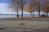 a person walking a dog next to a bench near the water with trees in the background