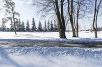 a person walking in the snow next to some trees in the background, under a blue sky