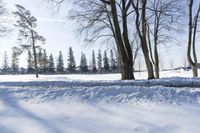 a person walking in the snow next to some trees in the background, under a blue sky