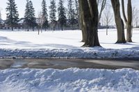 a person walking in the snow next to some trees in the background, under a blue sky