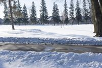 a person walking in the snow next to some trees in the background, under a blue sky