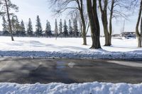 a person walking in the snow next to some trees in the background, under a blue sky