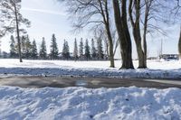 a person walking in the snow next to some trees in the background, under a blue sky