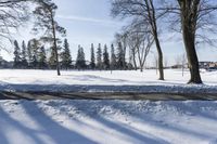 a person walking in the snow next to some trees in the background, under a blue sky