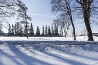 a person walking in the snow next to some trees in the background, under a blue sky