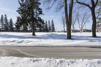 a person walking in the snow next to some trees in the background, under a blue sky