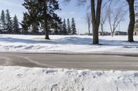 a person walking in the snow next to some trees in the background, under a blue sky