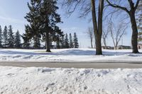 a person walking in the snow next to some trees in the background, under a blue sky