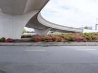 a person walking under an overpass over a paved road near flowers and traffic lights