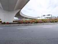 a person walking under an overpass over a paved road near flowers and traffic lights
