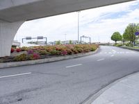 a person walking under an overpass over a paved road near flowers and traffic lights