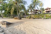 a sandy beach near some houses under some trees and some sand and rocks with palm trees in the background