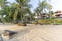 a sandy beach near some houses under some trees and some sand and rocks with palm trees in the background